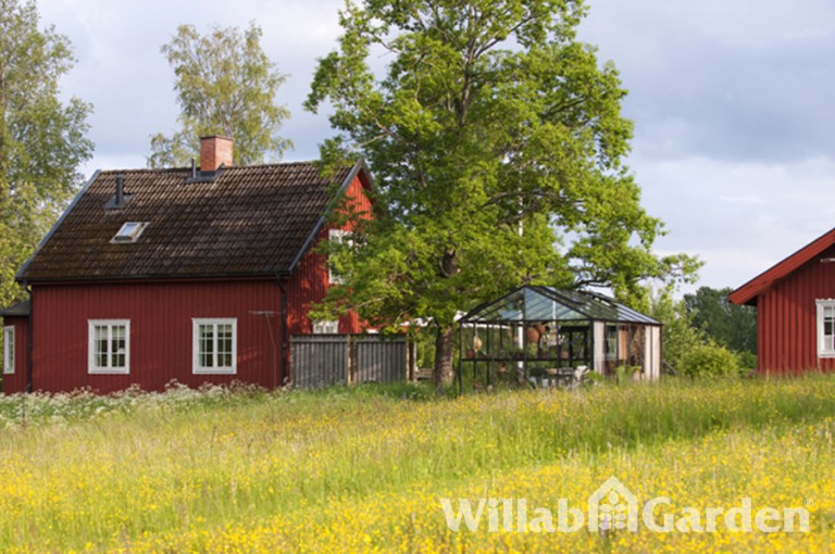 Växthus Maxi 4